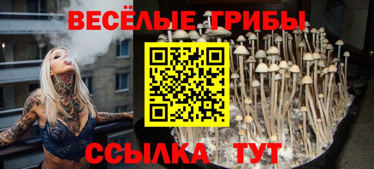 Псилоцибиновые грибы GOLDEN TEACHER  Псилоцибиновые грибы Magic Shrooms  Вход с VPN  Большой Камень 